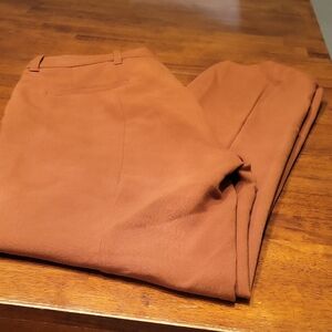 Zara Womans  Terracotta Chinos dress Pant